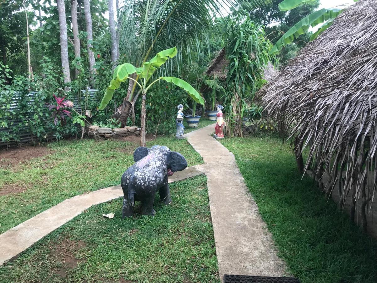 Sigiriya Village Home Stay Экстерьер фото