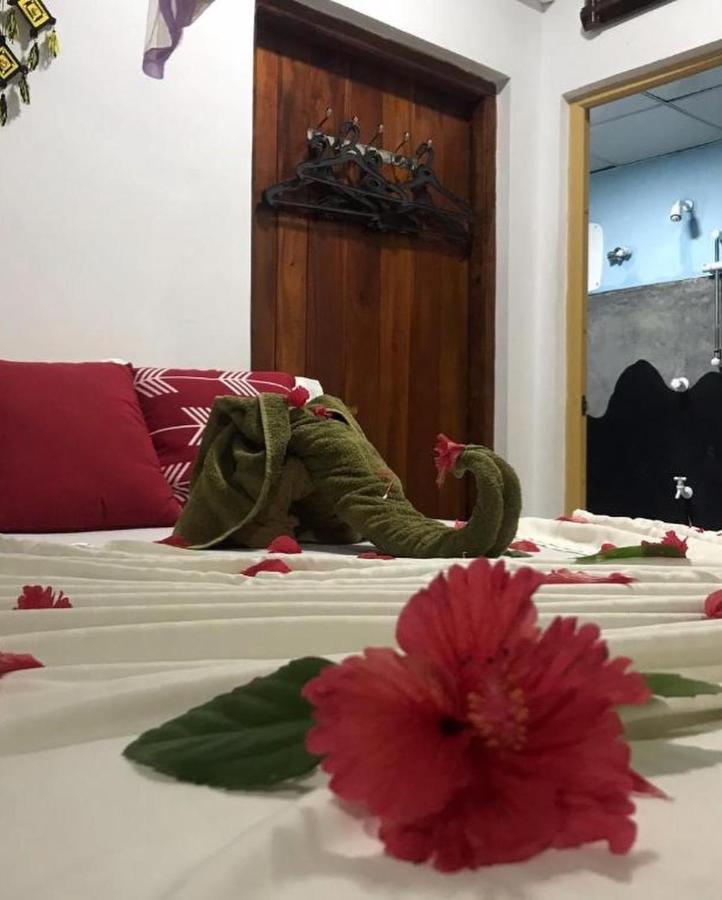 Sigiriya Village Home Stay Экстерьер фото